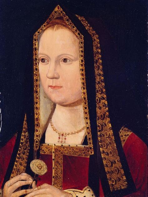 henry tudor wife|henry tudor wife elizabeth.